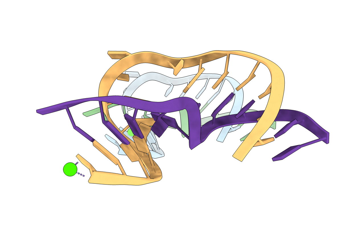 4P97 image