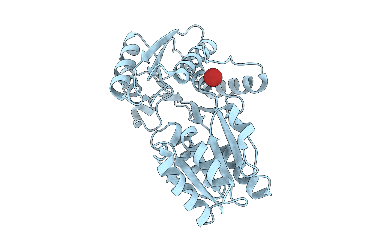 4P98 image