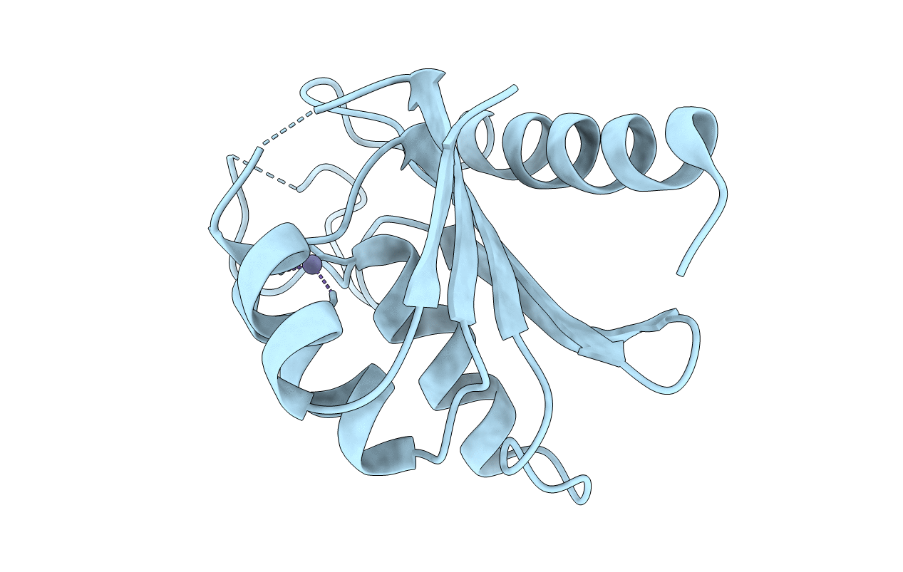 4P9E image