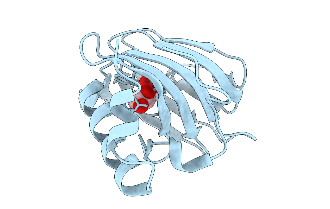 4p9g image