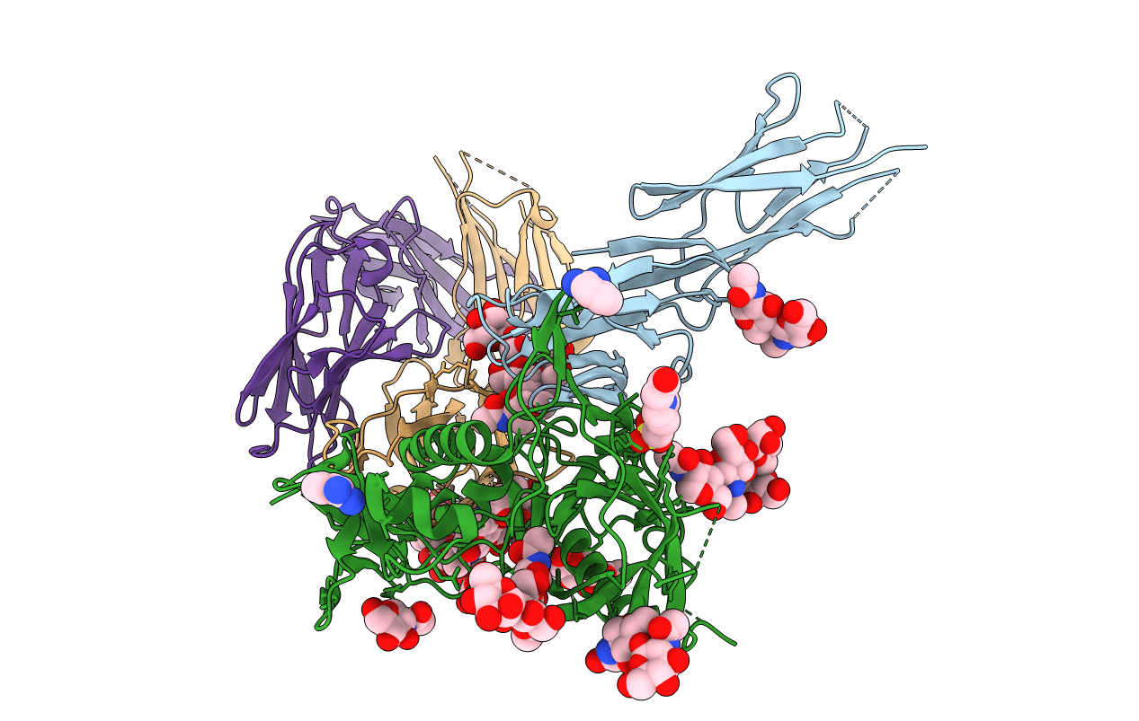 4P9H image