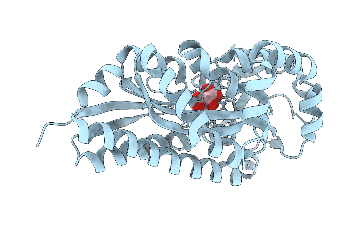 4P9K image