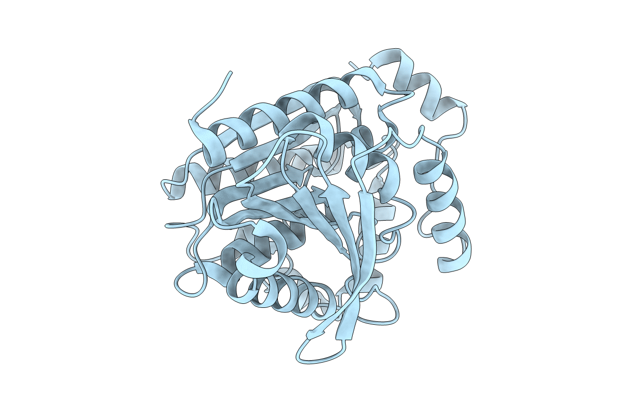 4P9N image