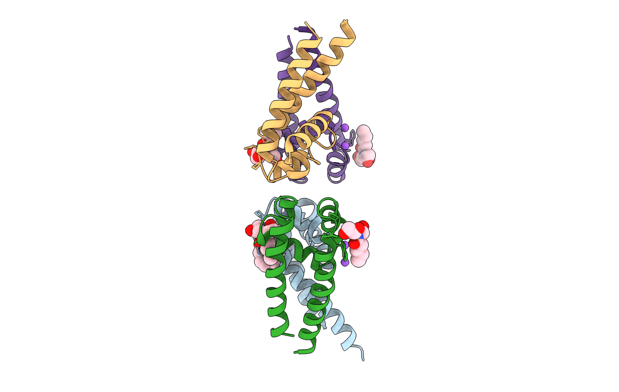 4PA6 image
