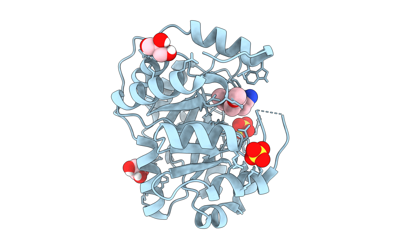 4PA8 image