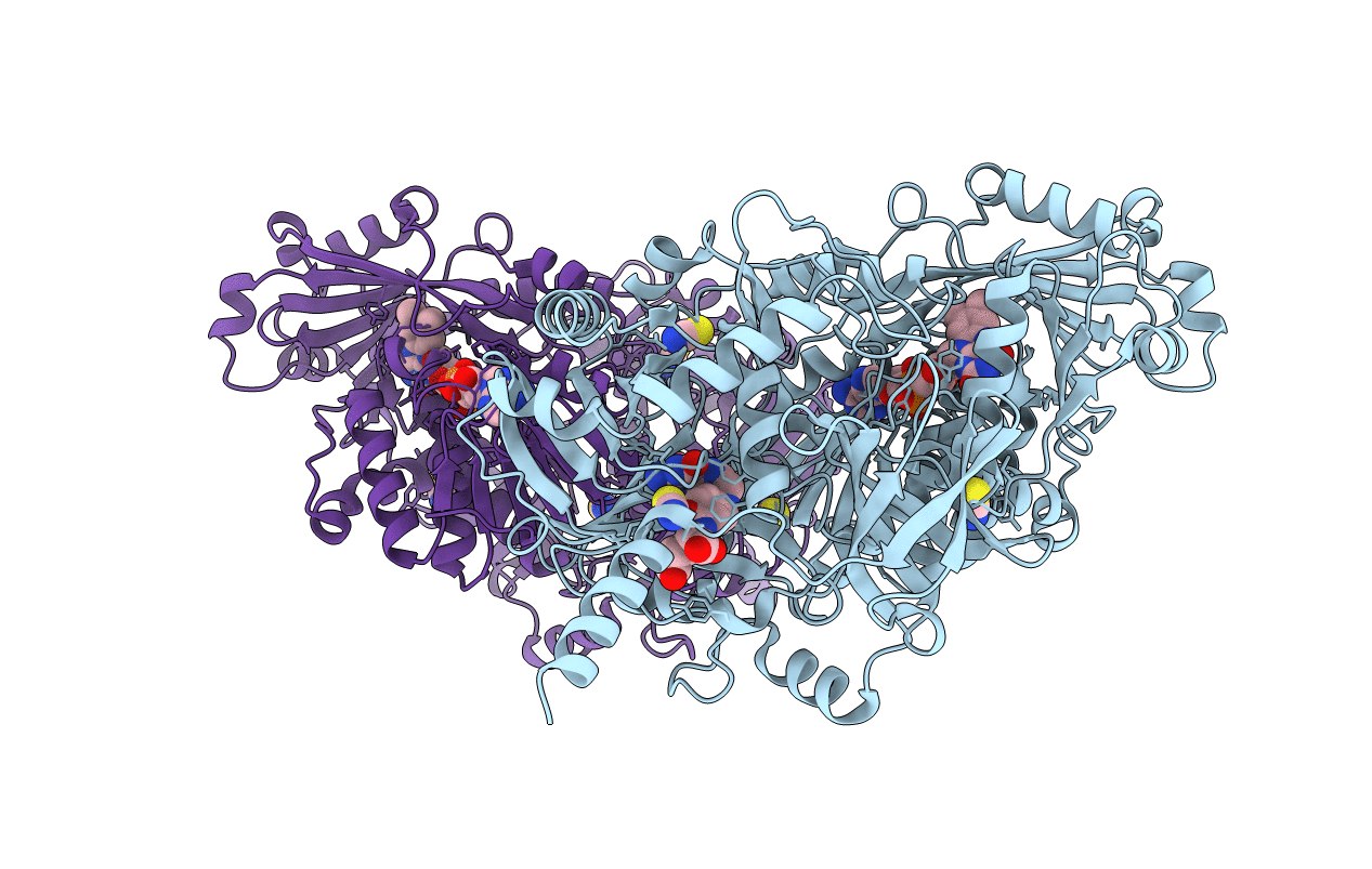 4PAB image