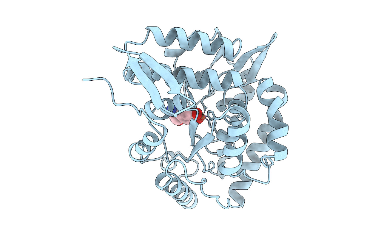 4PAH image