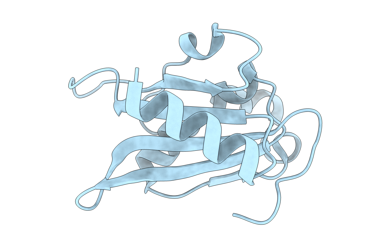 4PAU image