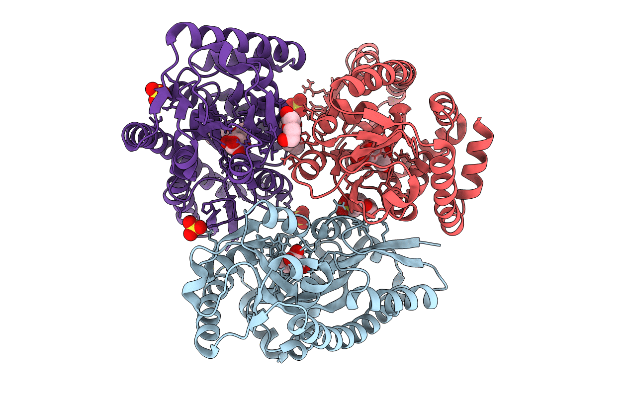 4PBQ image