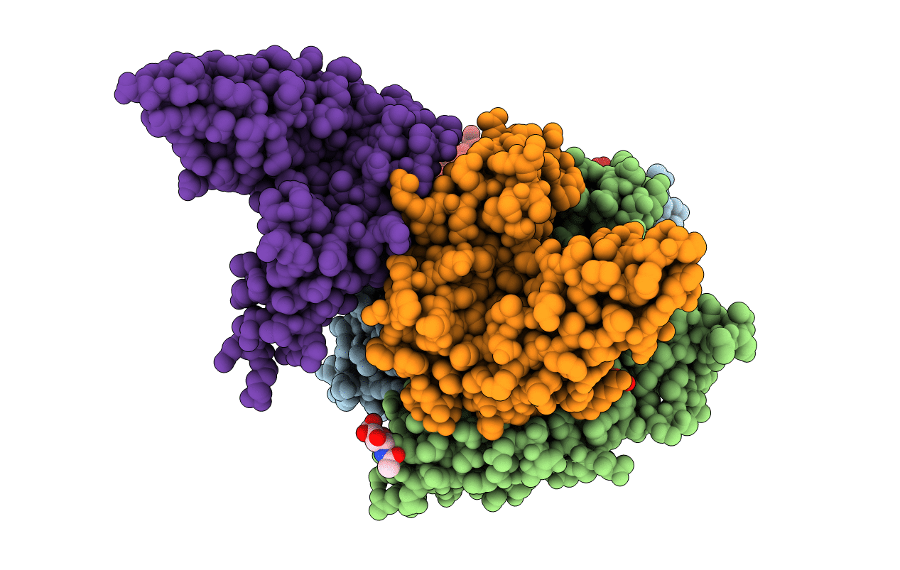 4PBV image
