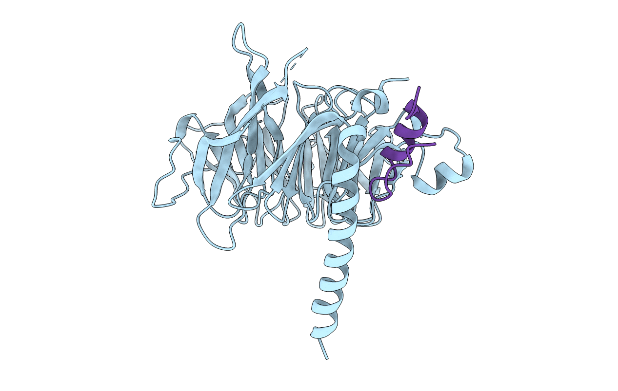 4PBZ image