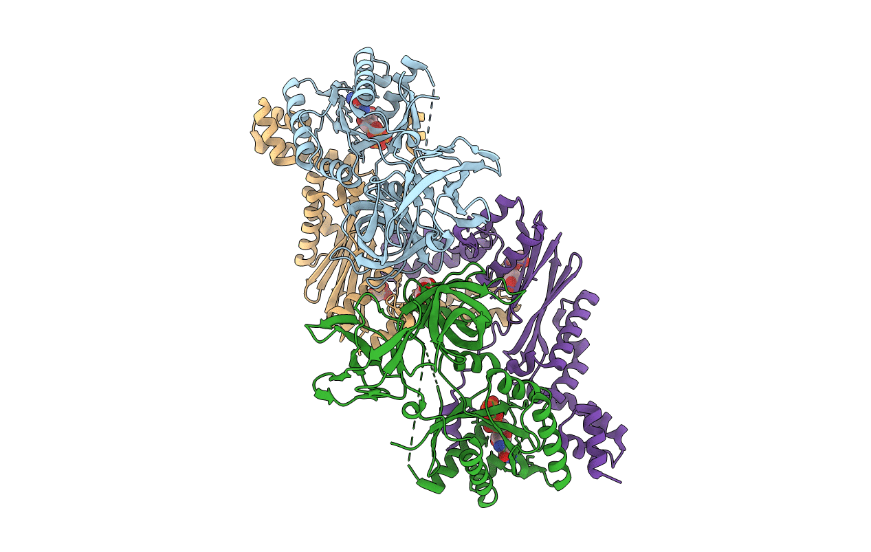 4PC6 image