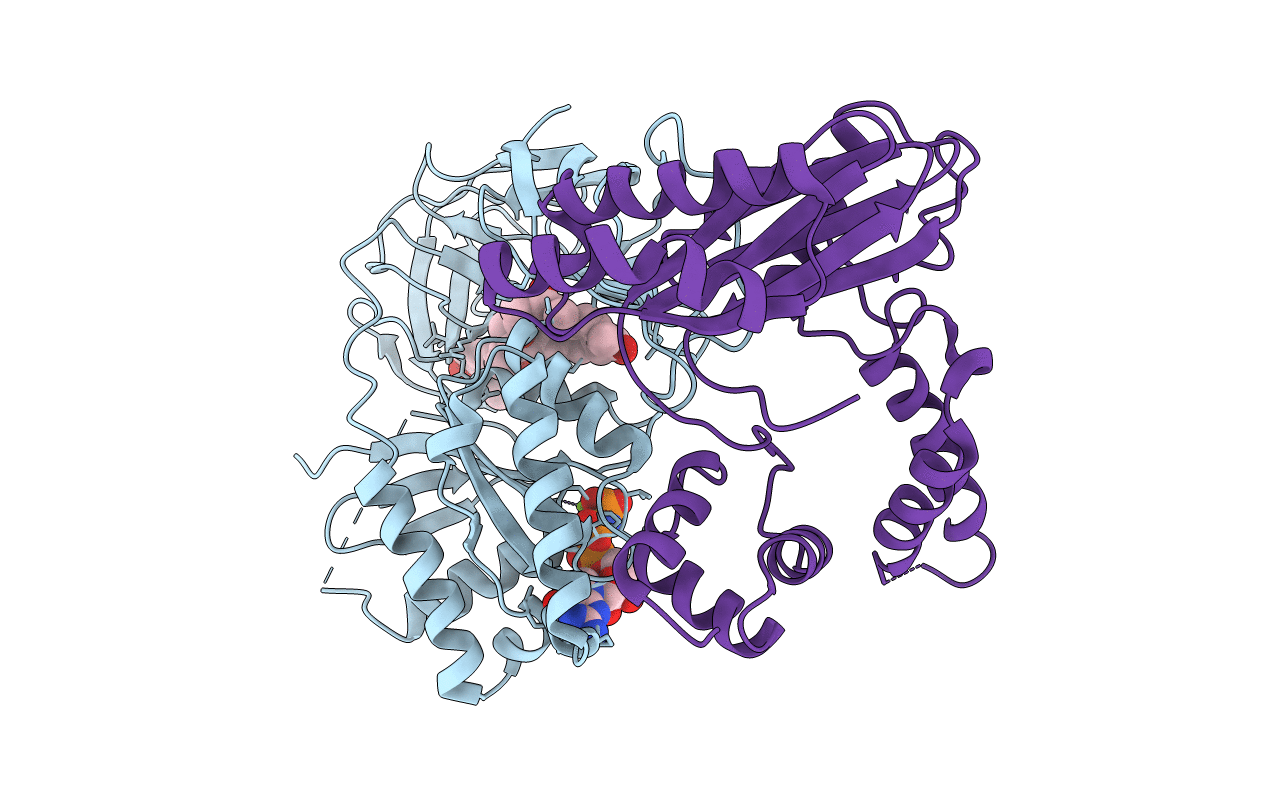 4PC7 image