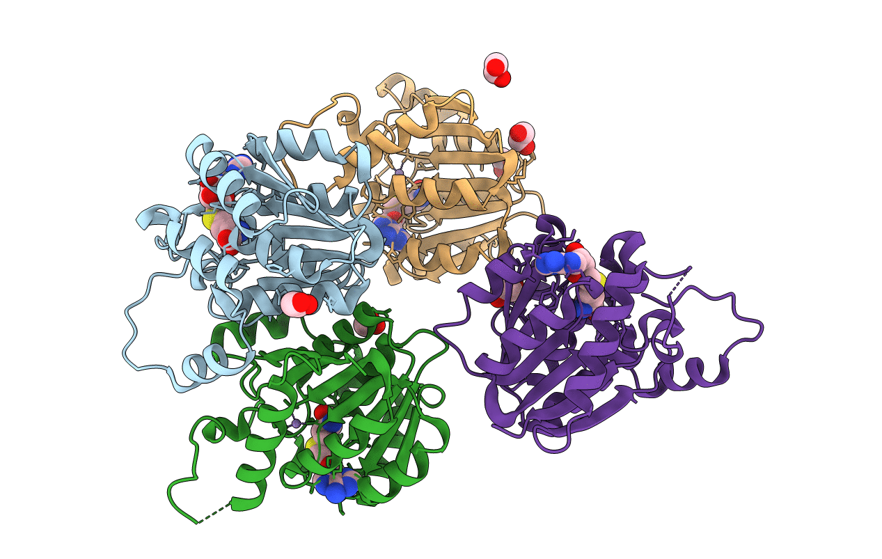 4PCA image