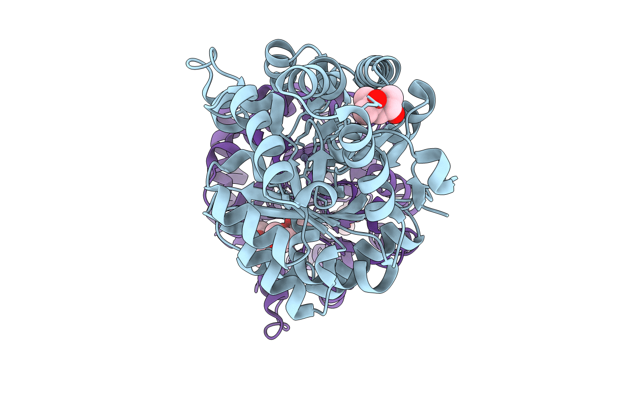 4PCN image