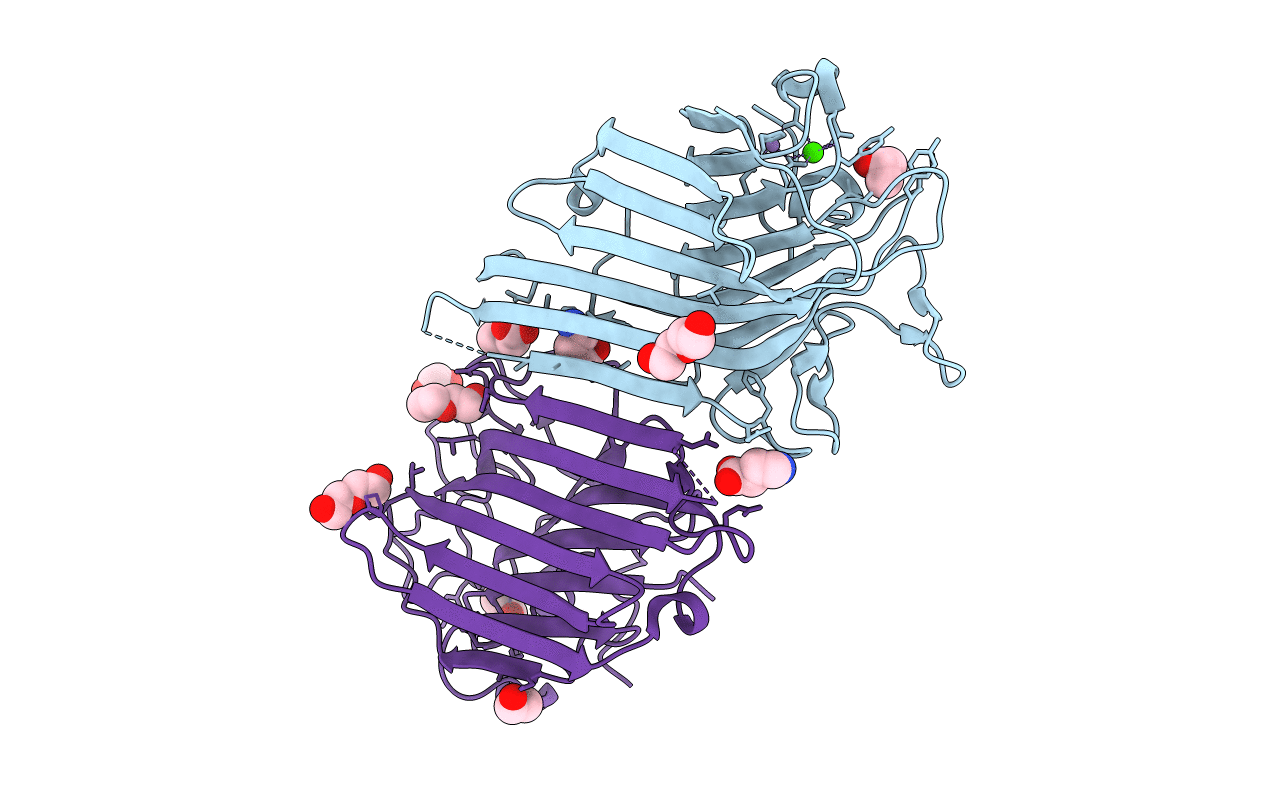 4PCR image