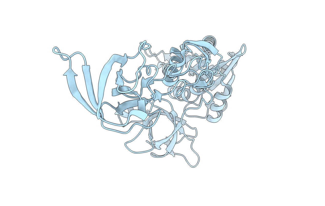 4PD0 image