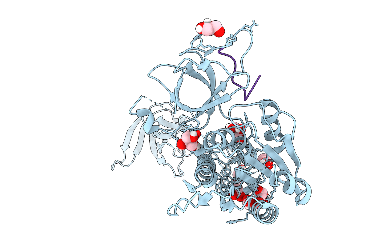 4PD1 image