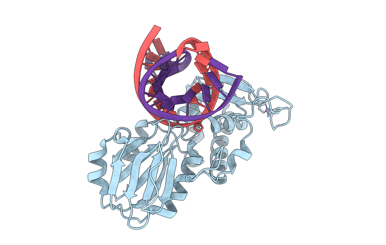 4PD2 image