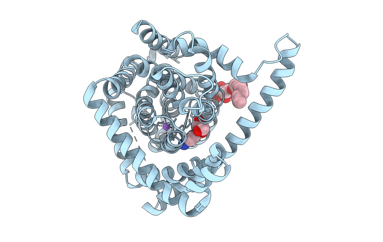 4PDA image