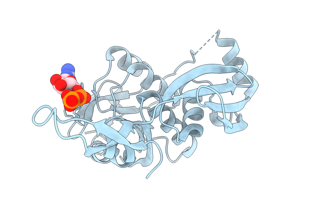 4PDE image