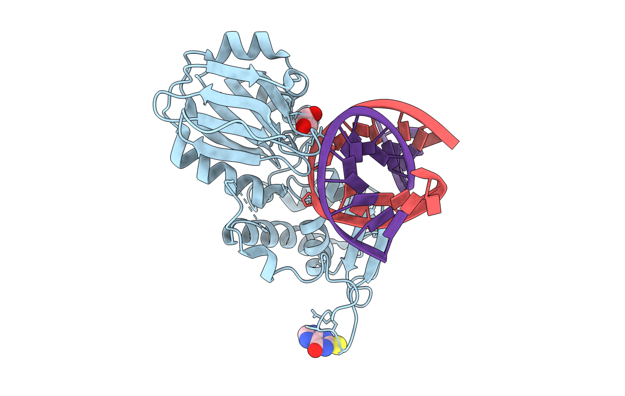 4PDG image