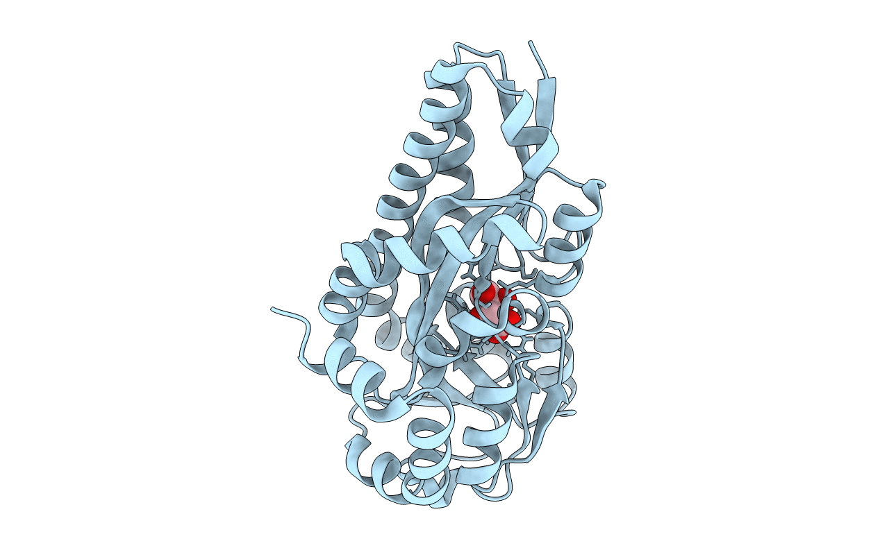 4PDH image