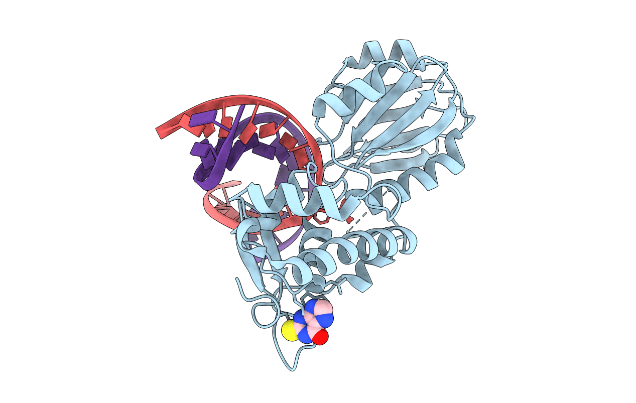 4PDI image