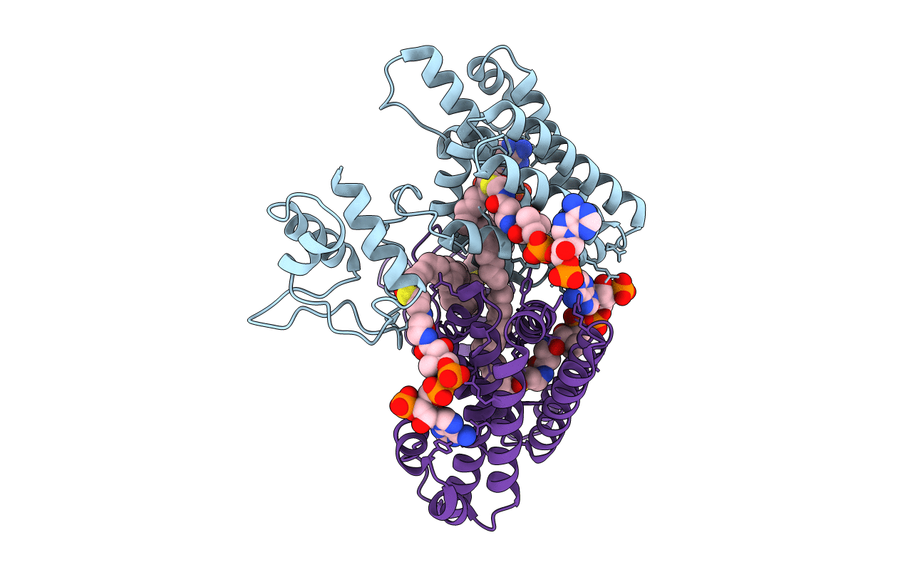 4PDK image