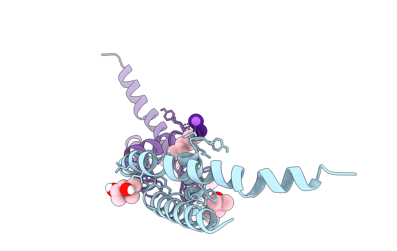 4PDL image