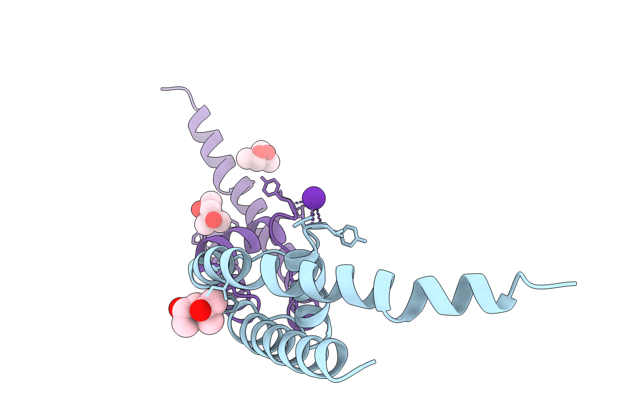 4PDM image