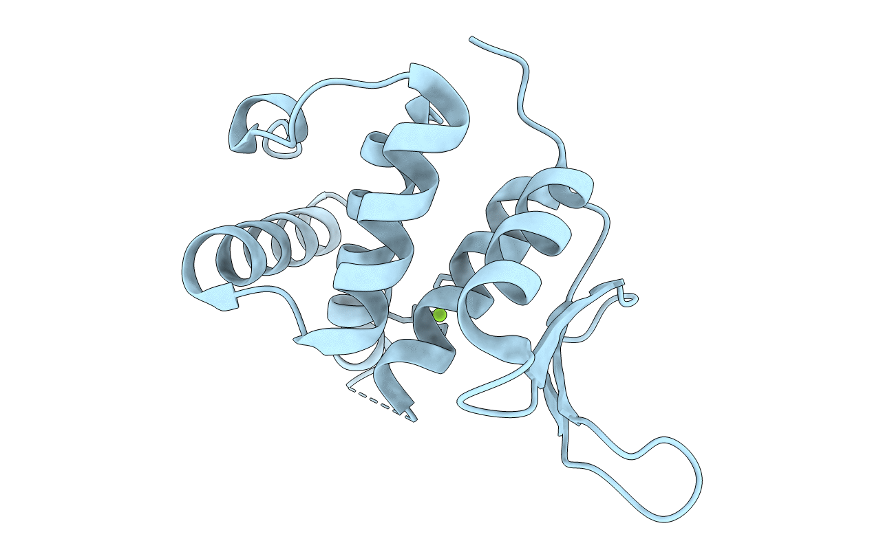 4PDN image