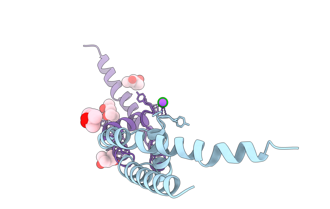 4PDR image