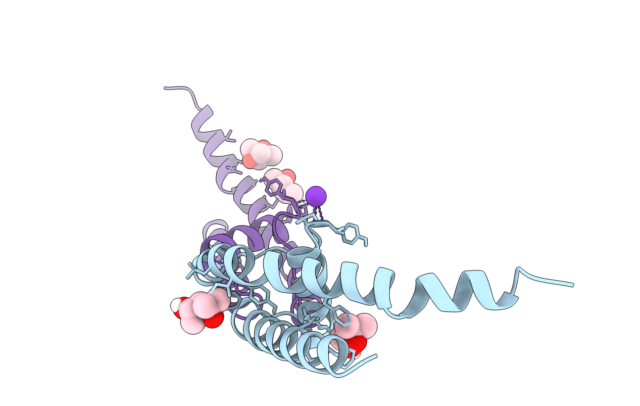 4PDV image