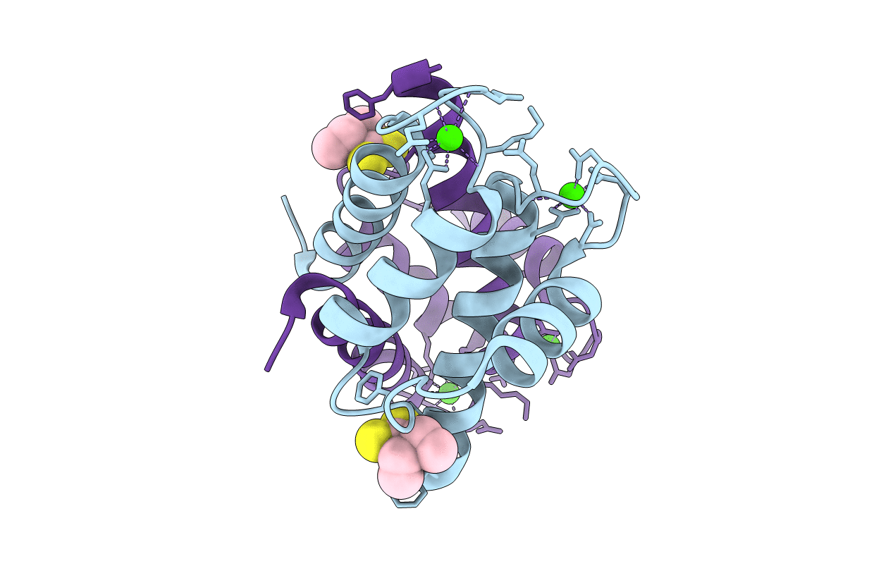 4PE1 image