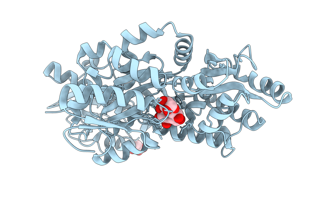 4PE2 image