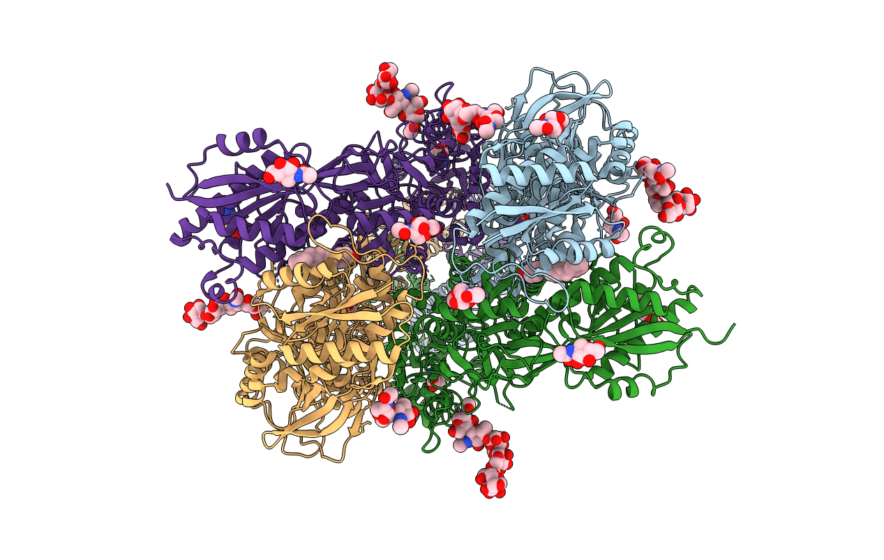 4PE5 image