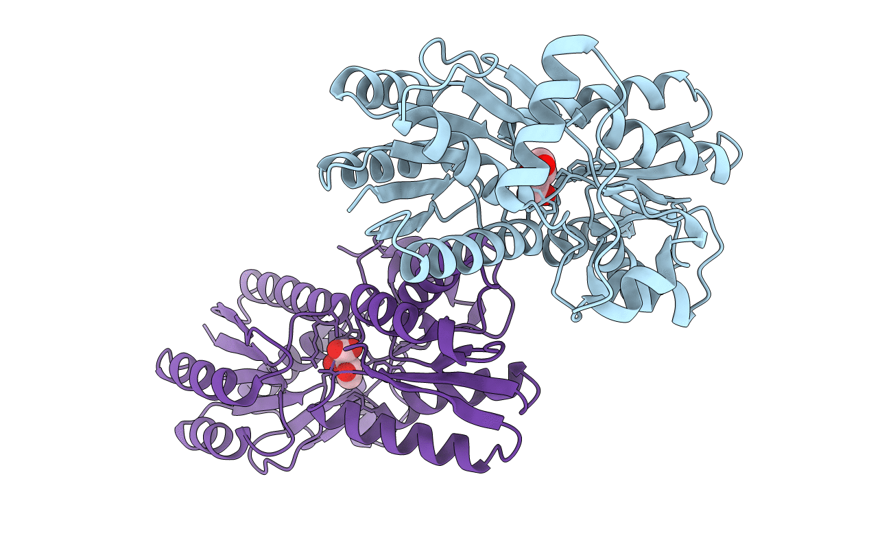 4PE6 image