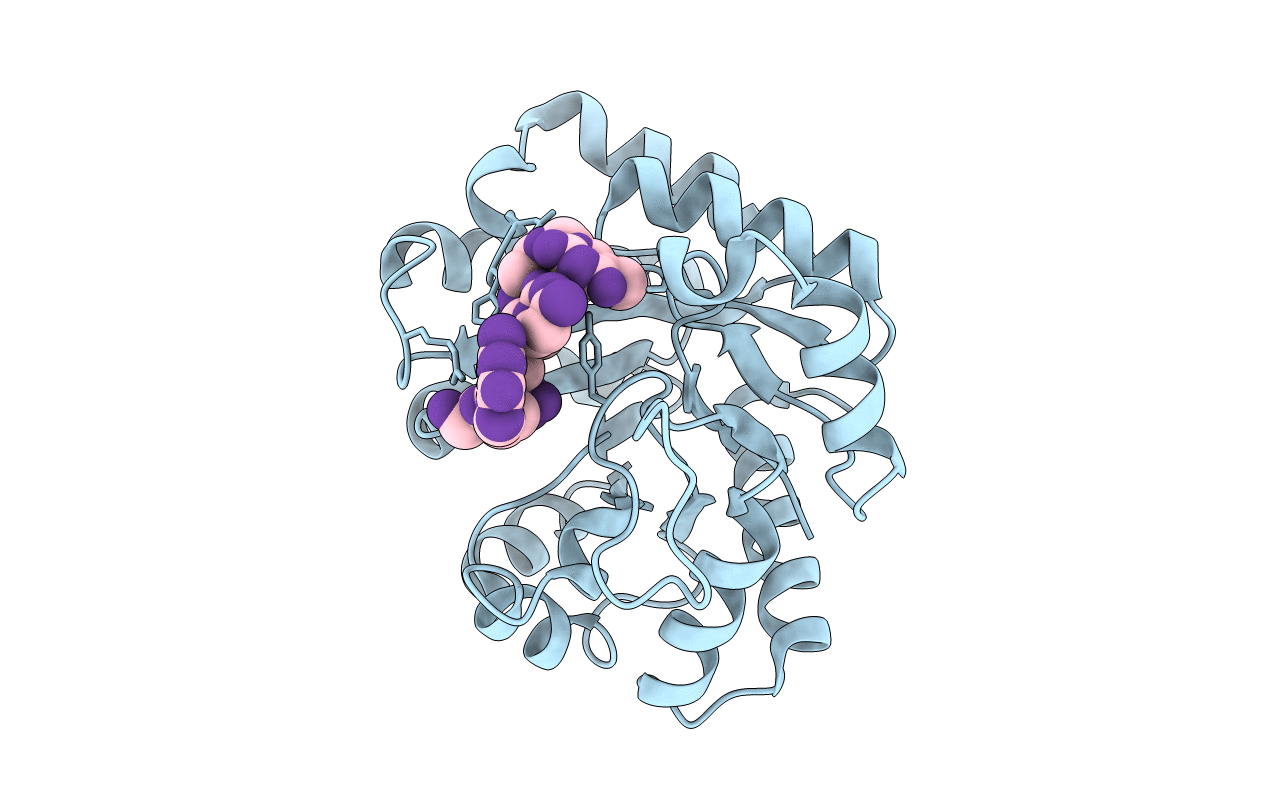 4PE8 image