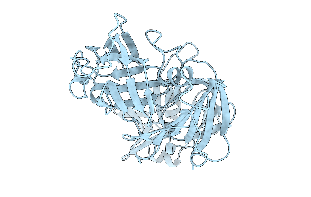 4PEP image