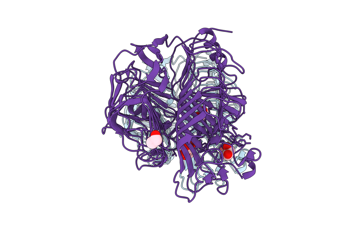 4PEX image