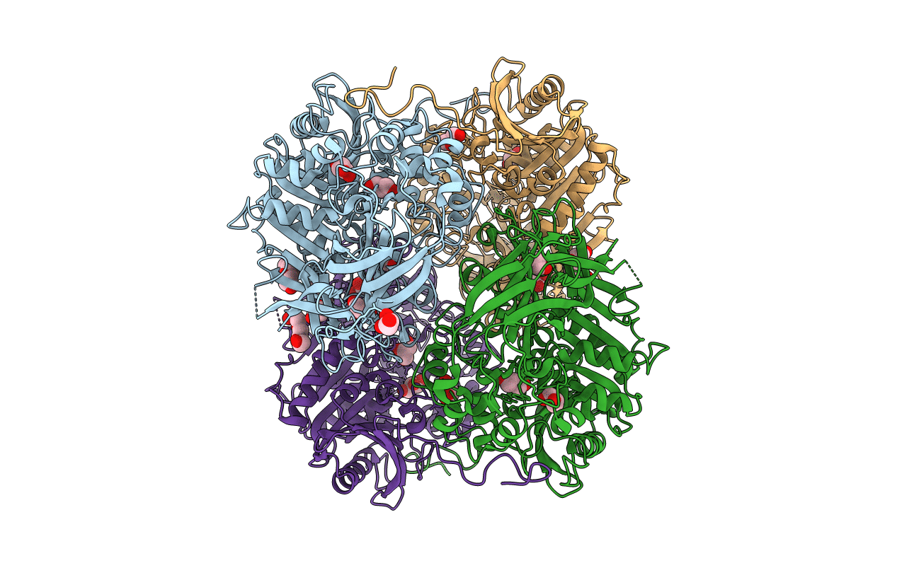 4PF1 image