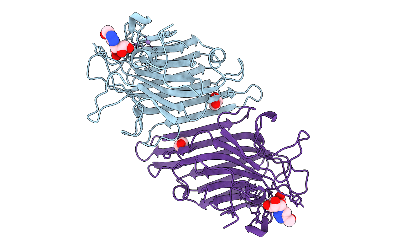 4PF5 image