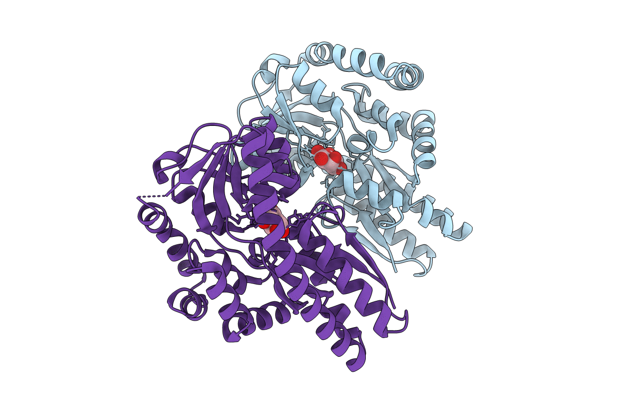 4PF8 image
