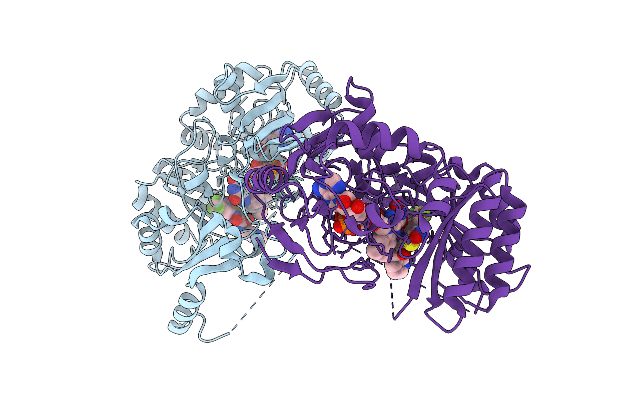 4PFA image