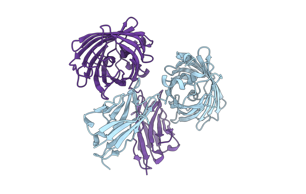 4PFE image