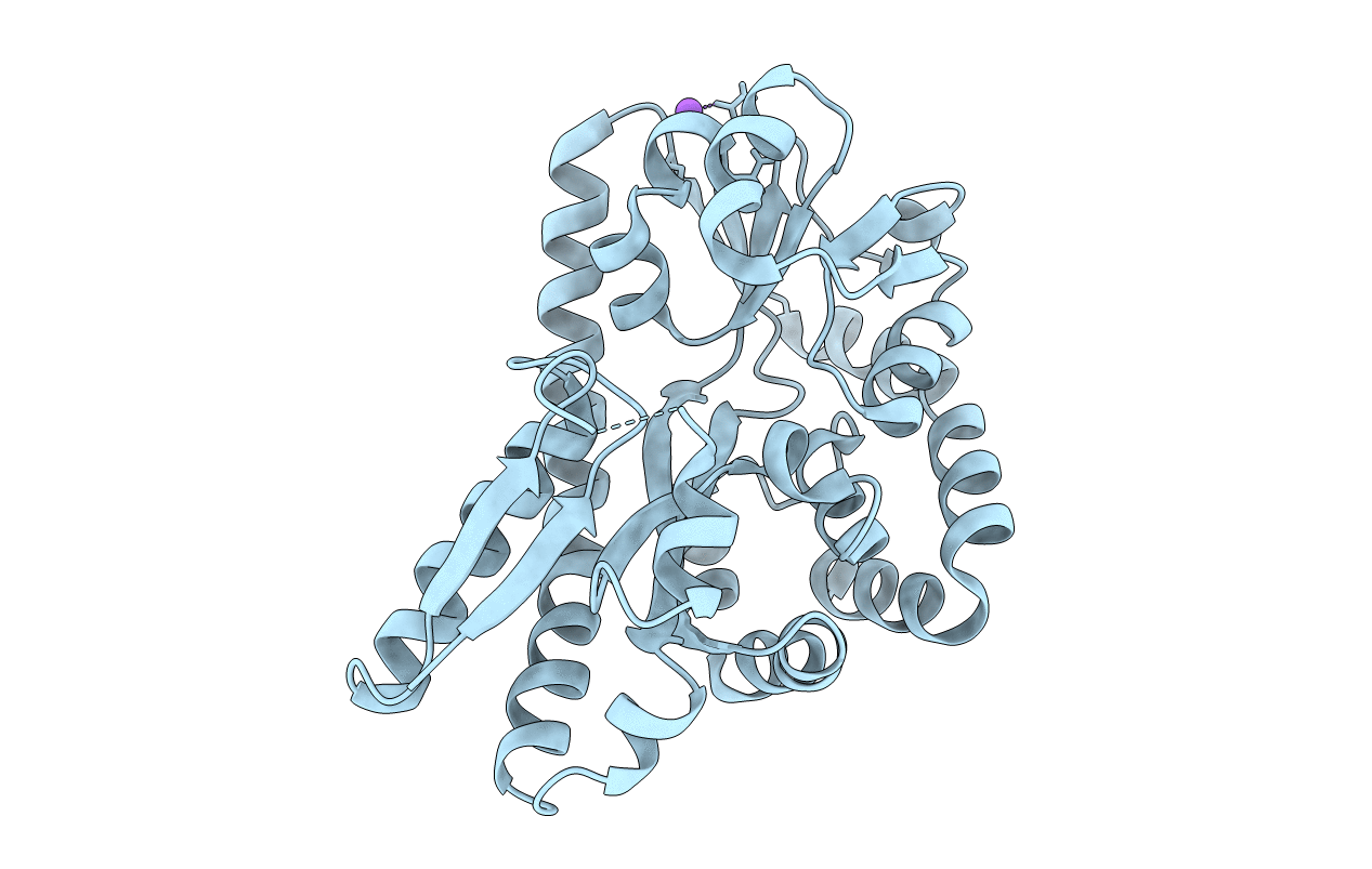 4PFI image