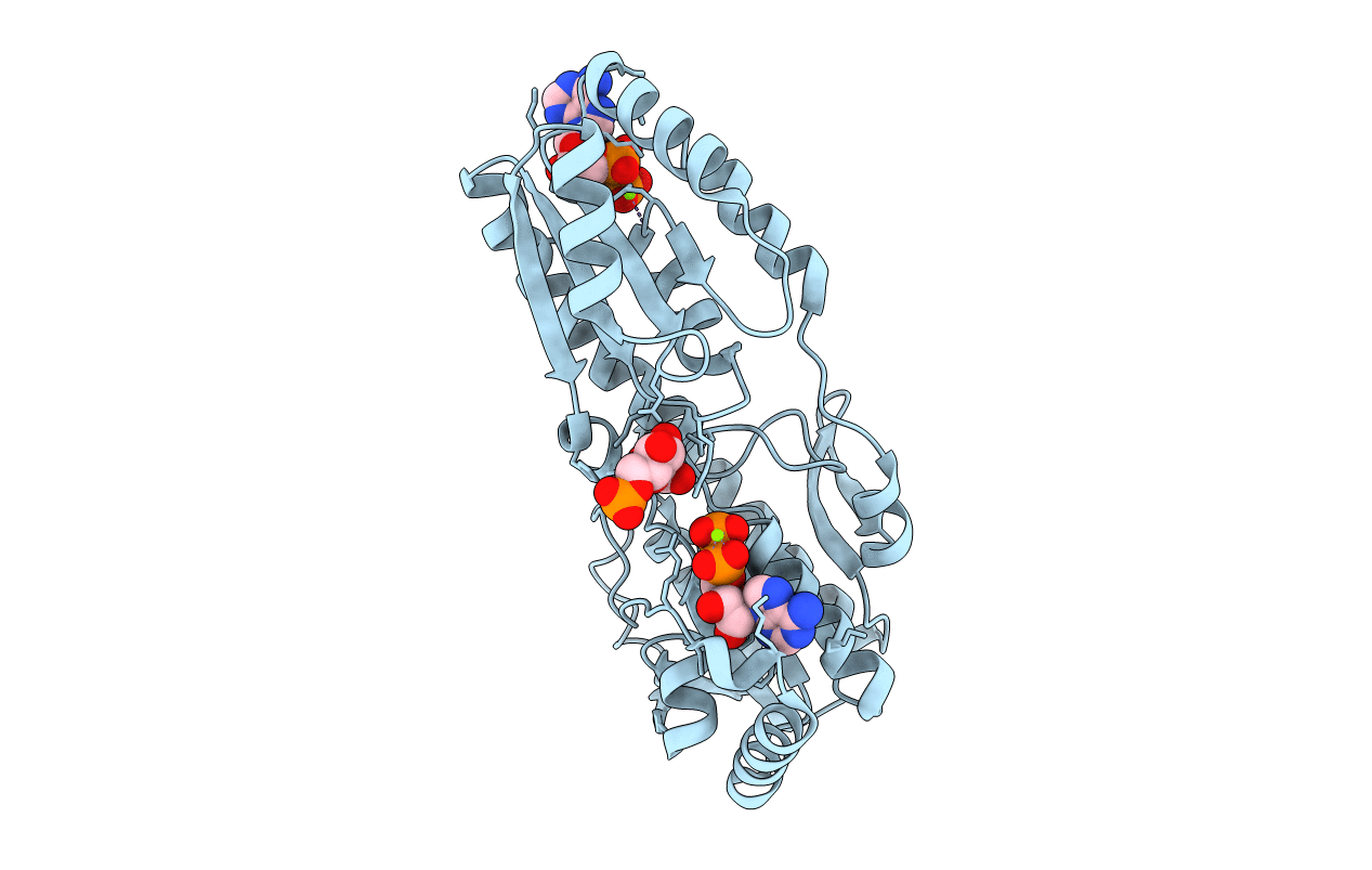 4PFK image