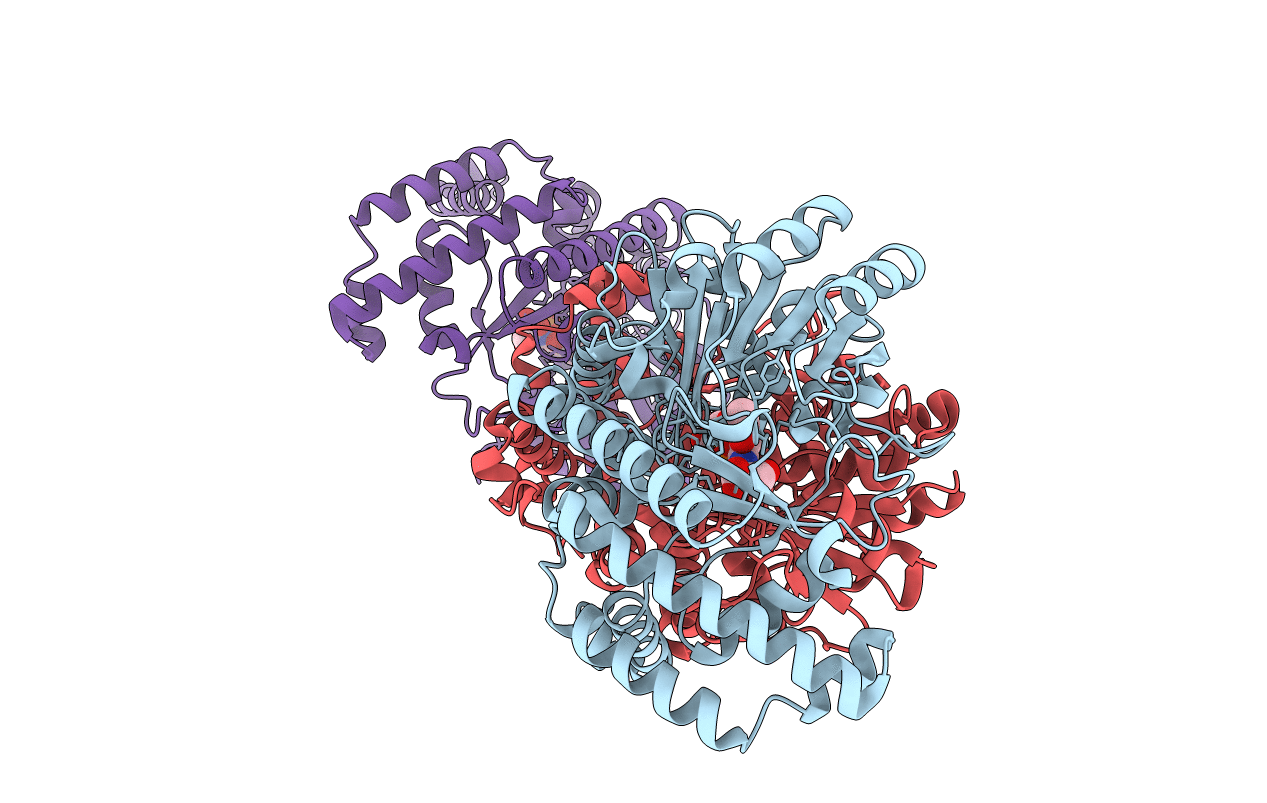 4PFN image