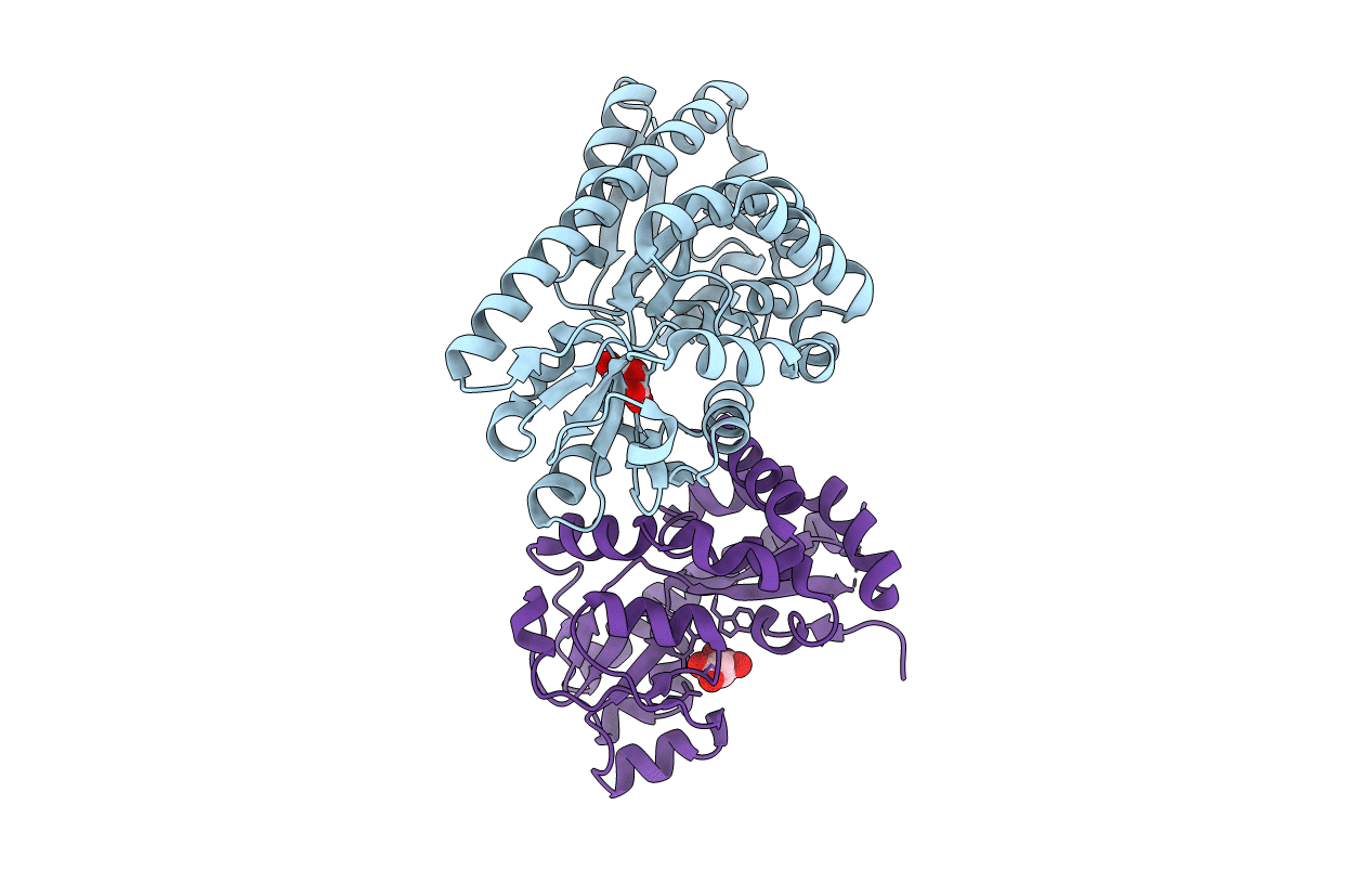 4PFR image